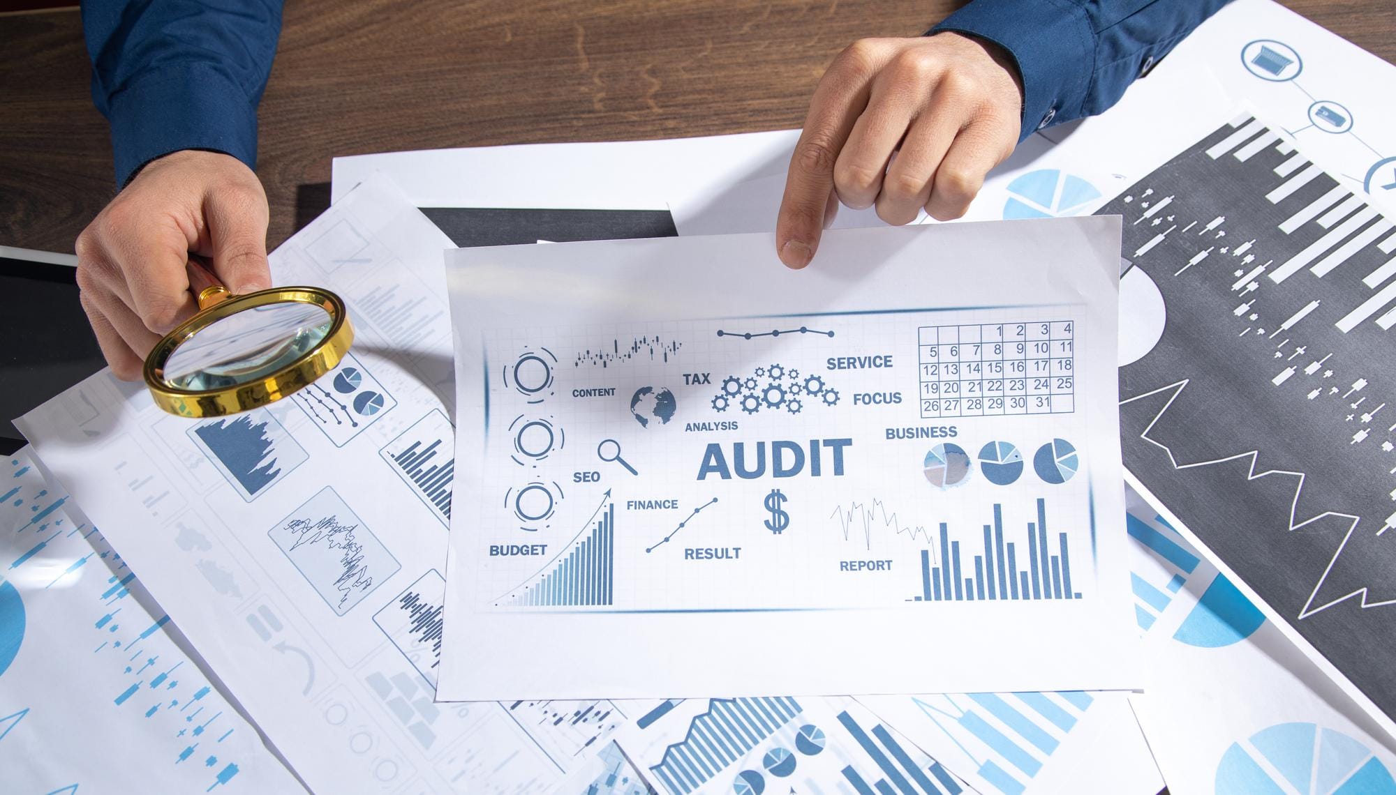 Audit & Assurance Services- PaceXgrowth Audit & Assurance Services- PaceXgrowth